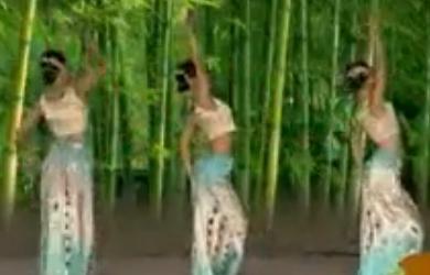 傣族舞蹈 月光下的凤尾竹 舞蹈示范表演视频