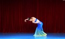 傣族舞蹈 湖边的孔雀 女子独舞