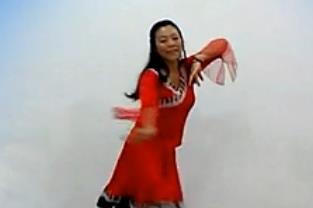 藏族舞蹈视频大全 西藏桑巴 教学演示视频